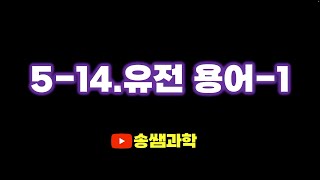 screenshot of the youtube video
