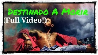 Miguel - Destinado a morir - #elaytv