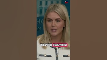 Karoline Leavitt asked about Epstein Hoax according to Trump