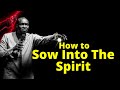 If only you can sow these 5 seeds  apostle joshua selman