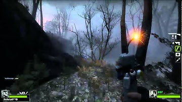 Left 4 Dead 2 (PC) - 2 player mutation