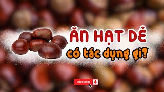 ĂN HẠT DẺ CÓ TÁC DỤNG GÌ? 6 LỢI ÍCH BẤT NGỜ CỦA HẠT DẺ ĐỐI VỚI SỨC KHỎE MÀ BẠN NÊN BIẾT