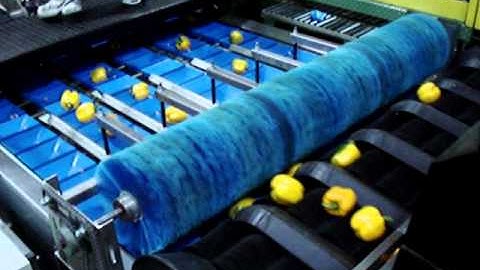 Eshet_Eilon_Pepper_packinghouse_selecionadora_pimiento.wmv