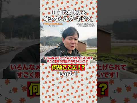 【完全密着】人口1000人の山間の町・弥栄に移住！絹織物の伝統工房で手織り体験してみた