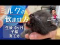 子猫、ミルクの作り方・あげ方【獣医師解説】