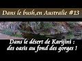 Des oasis au fond des gorges de Karijini, des piscines en plein désert !