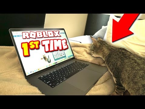 Dude The Cat Plays Roblox For The First Time Youtube - dude the cat roblox