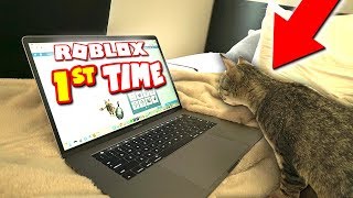 DUDE THE CAT PLAYS ROBLOX FOR THE FIRST TIME