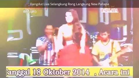 Dangdut Live Selangkung Rong Langkung New Pallapa