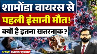 Details Shamonda Virus Explained | First Human Case in France | Symptoms & Risks | Current Affairs News