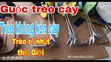 Hướng dẫn . Cách sử dụng guốc trèo cây 2 đinh - dụng cụ trèo cây . An Toàn - Hiệu Quả
