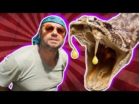 Vídeo: Feliz Ano Novo da Serpente