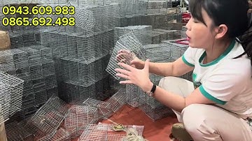 🐭🦊LỒNG CHUỘT ĐƯỜNG MÒN , CỐNG NHUM , SÓC ĐẤT, TẶNG LÒ XO , CÓ BẢO HÀNH ❤️💥