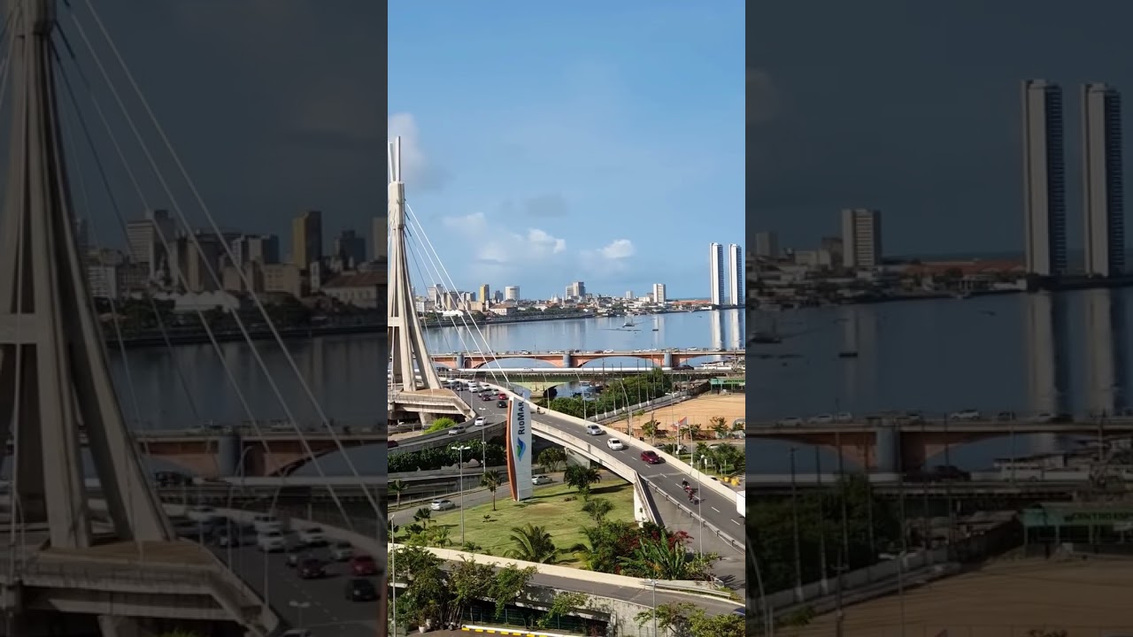 What a talent pilot? Under bridge, Above the water!!!