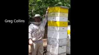 Greg Collins and his 3 Deep Hive of Aggressive Russian Honey Bees