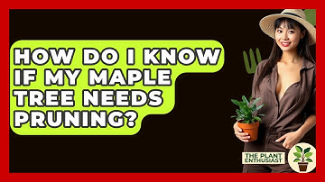 How Do I Know If My Maple Tree Needs Pruning? - The Plant Enthusiast