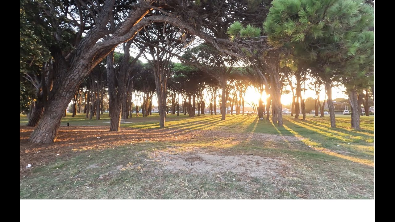Cook Park Recreational Cycleway (Penshurst - Botany Bay - Rockdale Leisure Bike Ride)