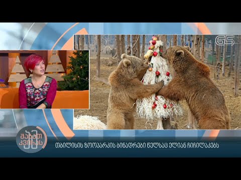 თბილისის ზოოპარკის ბინადრები წელსაც ელიან ჩიჩილაკებს