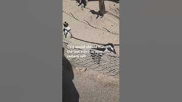 This sound should Match the last video in your camera roll#*funny