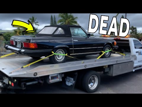 Reviving a DEAD Vintage Mercedes With a German Mechanic