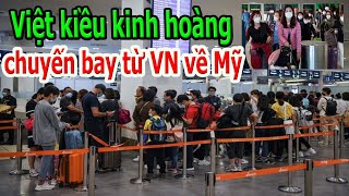 Việt Kiều Kinh Hoàng Chuyến Bay Từ Vn Về Mỹ