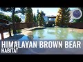 Himalayan Brown Bear Habitat | Malu Zoo | Speed Build | Planet Zoo | Ep. 2
