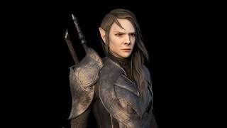 Elf Knight Turnaround