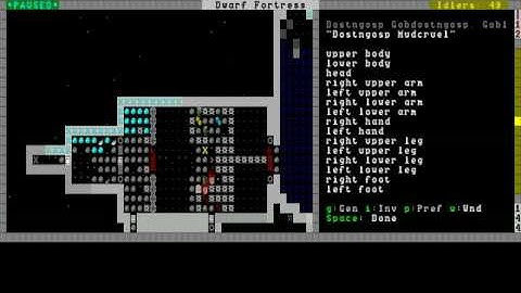 Dwarf Fortress Video Tutorial part 32 - Taking care of caged enemies 1