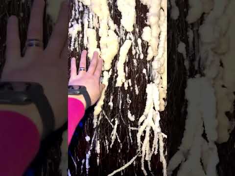 اخدت خلودة على غرفة الملح كلشي فيها مصنوع من الملح