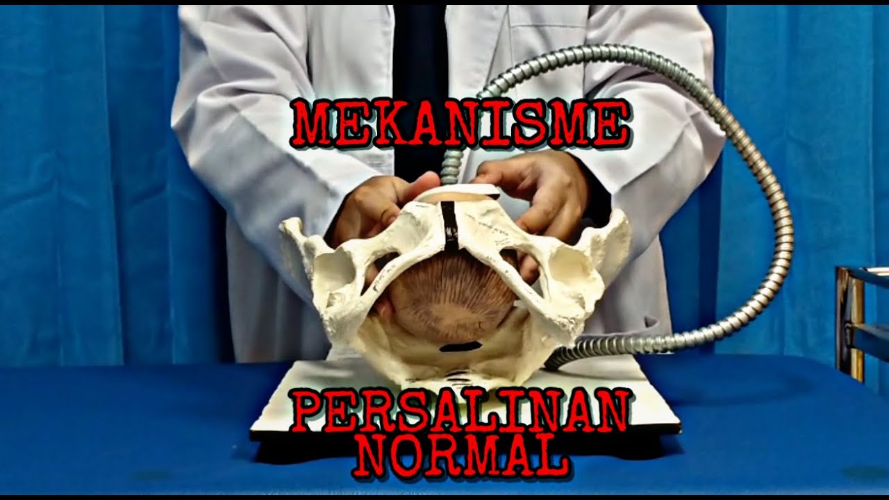 Mekanisme Persalinan Normal