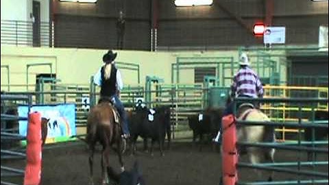 Leah Hochhalter & Lotta Isalena - RSNC Ranch Sorting Fort Collins, CO