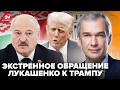 🚨Вы НЕ поверите, что НАТВОРИЛ ЛУКАШЕНКО. Это ЗАЯВЛЕНИЕ к Трампу РВЁТ СЕТЬ. ЛАТУШКО @DRUGAYA_STRANA