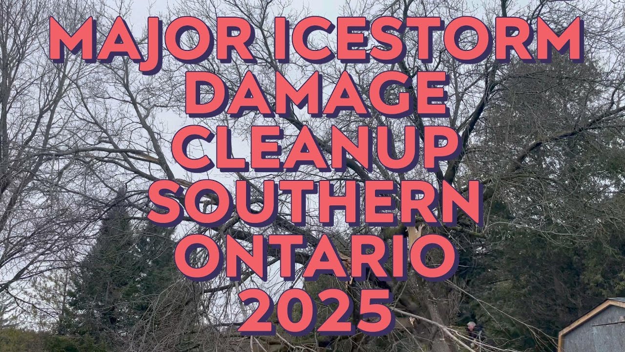 Ice Storm Damage Clean up 2025 in Southern Ontario - YouTube