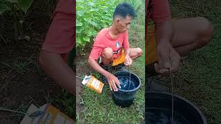 Grow More 20-5-30 poliar fertilizer.#junagrikaalamantv.