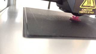 M3D test printing - little cherry (Fast Forward)