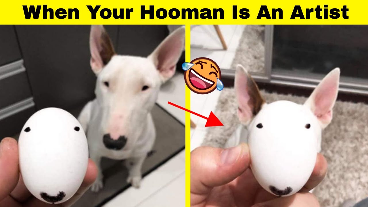 Creative People With A Great Sense Of Humor