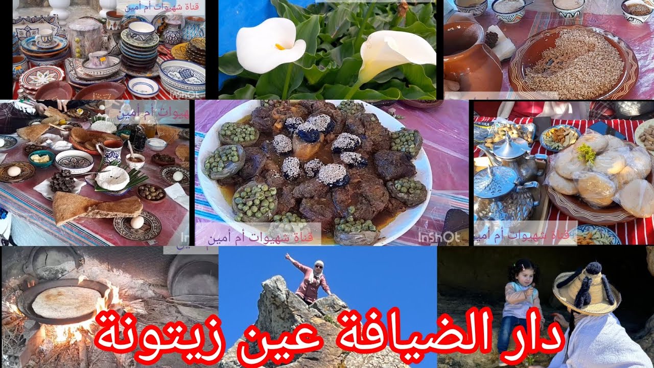 دار الضيافة عين زيتونة 👌 خريجة وتفويجة مع الحباب ✅️كولشي بيو👍نهار لا ينتسى زيارة رائعة تستحق العودة