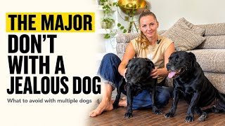 The only way to deal with dog jealousy