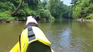 Izzy's River Adventure