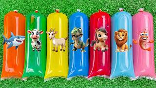 Download lagu MENEMUKAN : Hewan Sapi, Kambing, Gajah, Domba, Singa, Harimau, T-Rex, Ikan Paus, Lobster, Kuda.