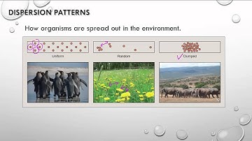 GR 12 Population Dynamics 1 (Science Video Tutorial)