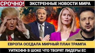 УИТКОФФ В ШОКЕ! ЕВРОПА ОСЕДЛАЛА МИРНЫЙ ПЛАН ТРАМПА! ЧЕМ ЗАКОНЧАТСЯ ПЕРЕГОВОРЫ