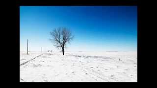 Reciter Shirazad Taher | Surah Fussilat