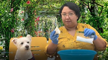 Arts & Crafts: Paw-Print Keepsake