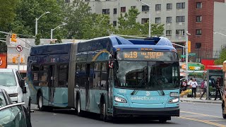 NYC Bus: XN60 Select Bus Action on the Bx19 LCL