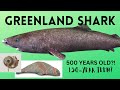 Unveiling the Secrets of the Ancient Giants: The Greenland Shark&#39;s Mysterious World #greenlandshark