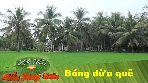 DÁNG DỪA QUÊ HƯƠNG - Hình ảnh hiền hòa và yên ả trong lòng người | Đặc sản miền sông nước