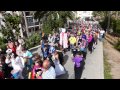 Carnaval 2013 colegios La Palmas, CEIP Drago
