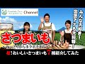 ”クミショクファームChannel”みんな大好き！『さつまいも』特集 おいしいさつまいも７種類を紹介！！