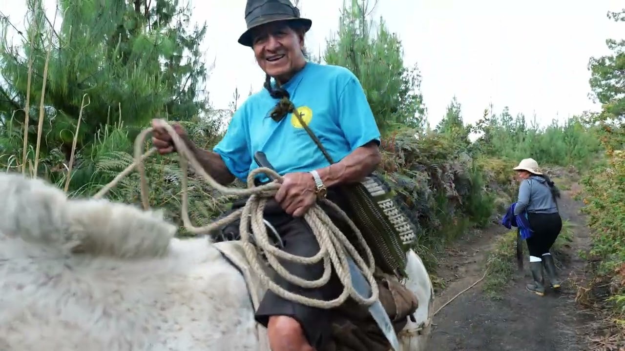 En busca de la LUNA #mascotas #amistad